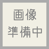 ババニョニャ料理